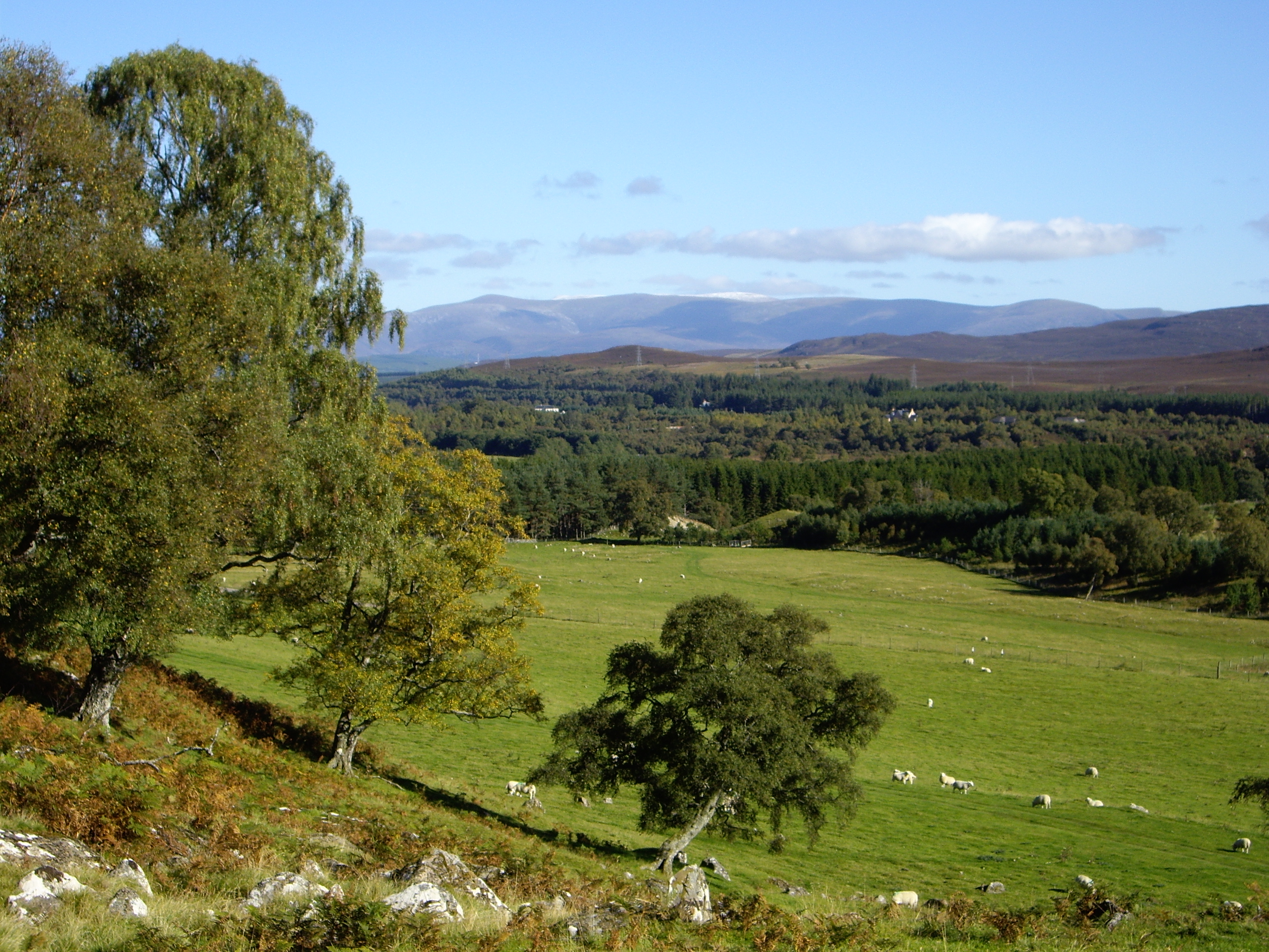 View of Badenoch 